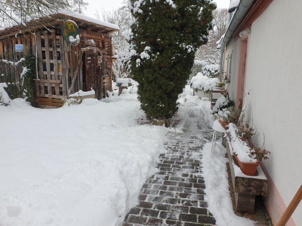 Unser Obervolkacher Ferienhaus-einfach gemütlich! Exterior foto