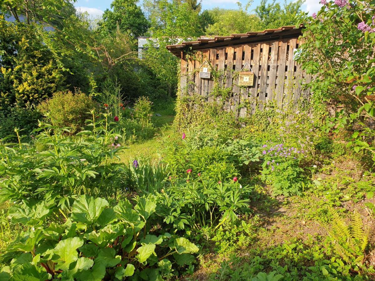 Unser Obervolkacher Ferienhaus-einfach gemütlich! Exterior foto
